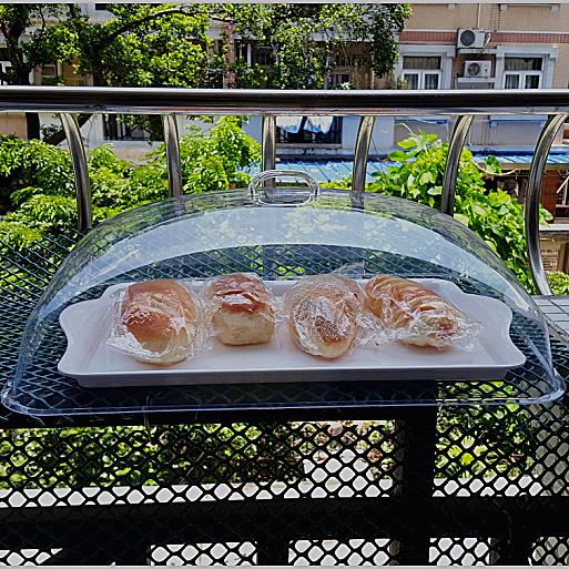 長方形透明面包蛋糕點心食品蓋菜蓋塑料蓋食物透明保鮮蓋面包罩