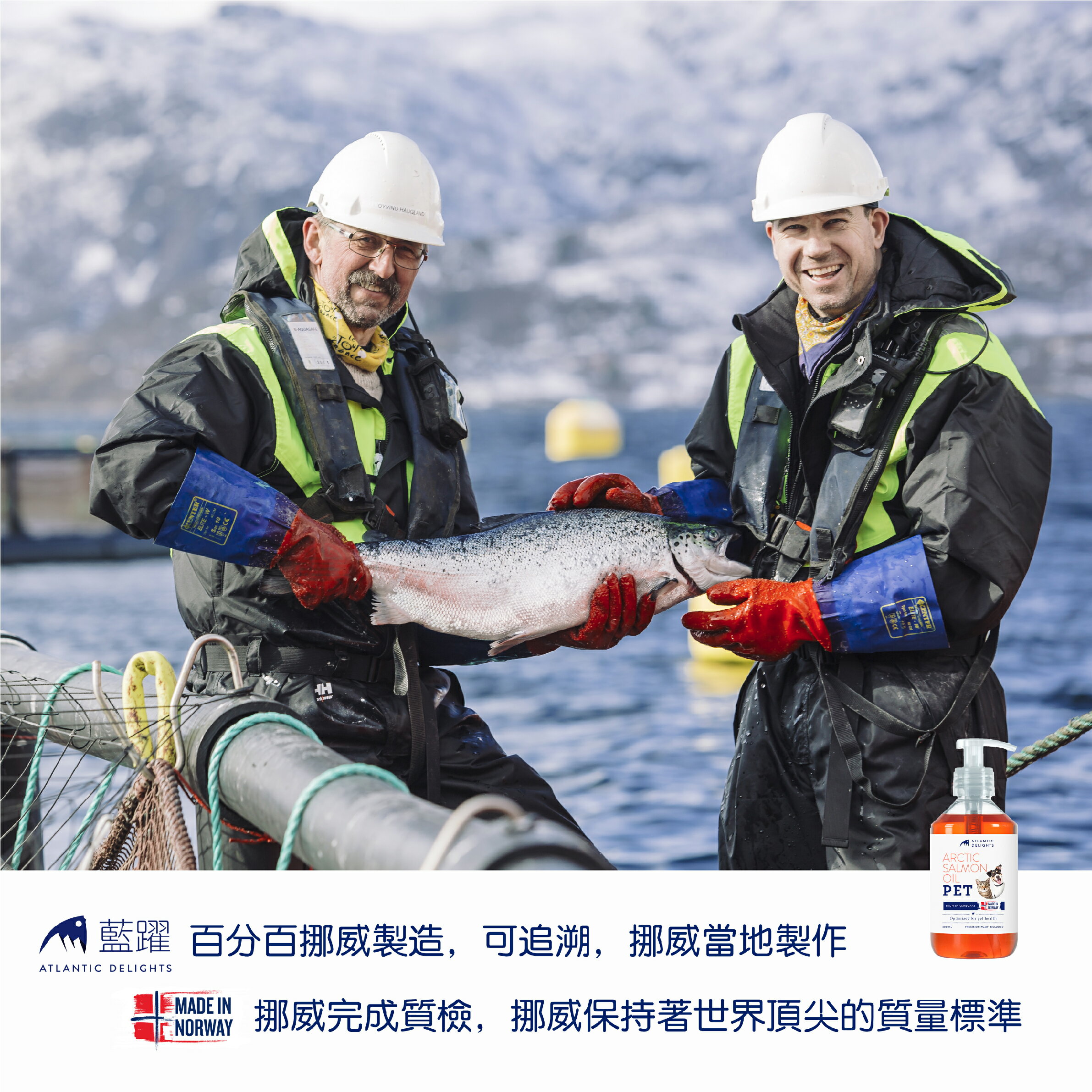 特定商品10%回饋 免運費 藍躍 挪威全天然鮭魚油 300ml 犬貓適用 8