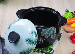 韓式鋰瓷耐高溫熱帶雨林砂鍋燉鍋湯煲陶天然氣明火瓷