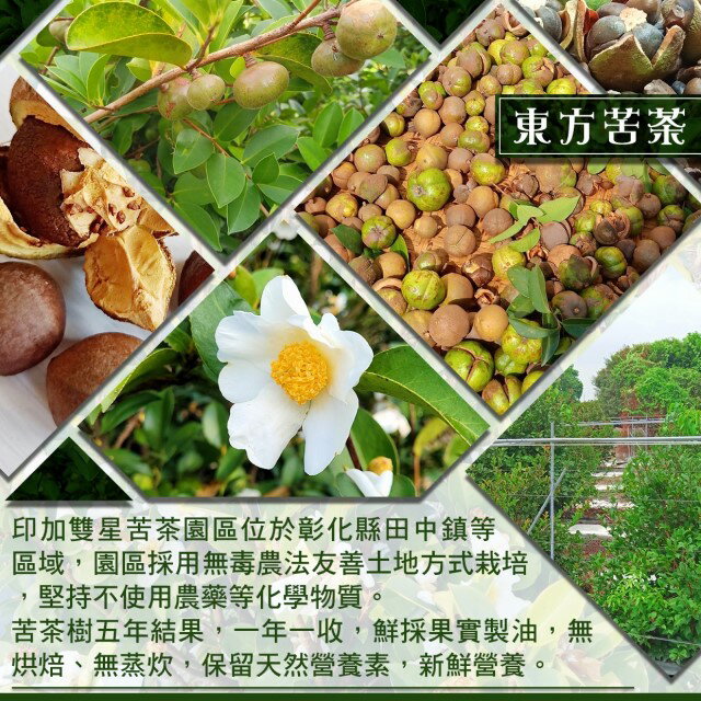 2023年11月鮮採現壓 年代推薦惠寅本土冷壓白花大果苦茶油300ML 生酮飲食油 獨家技術冷壓保留維生素 角鯊烯 單元不飽和脂肪酸 生飲級 新鮮現壓 6