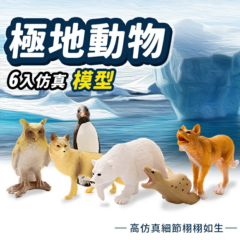 模擬極地動物模型 動物公仔 /一包6款入(促250) D985 北極動物 北極熊 企鵝 海豹 北極狐 雪鴞 動物模型玩具 -生 -MD0129