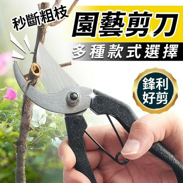剪定鋏 /一支入 8號 花剪 園藝剪刀 花藝剪刀 修枝剪 園藝剪 果樹剪 採果剪 樹枝剪 -智00490