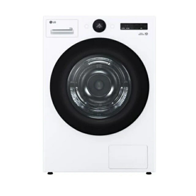 LG 樂金 20公斤 免曬衣乾衣機 冰瓷白 WR-20DW