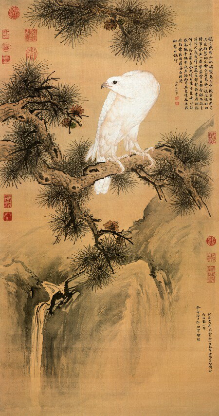 仿古畫名畫復製品花鳥畫清郎世寧白鶻圖白鷹圖中國畫裝飾畫字畫