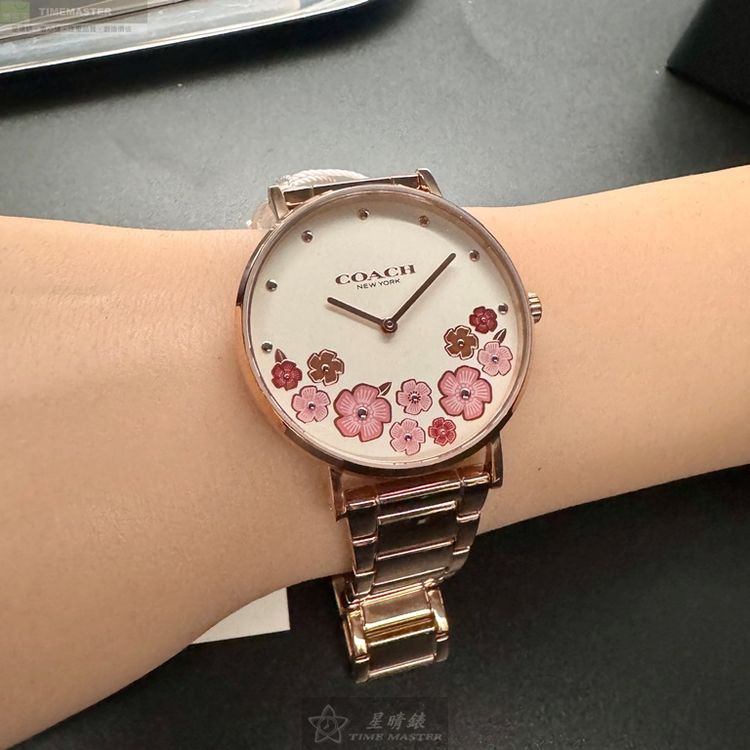COACH手錶,編號CH00202,36mm玫瑰金圓形精鋼錶殼,白色中二針顯示, 山茶花錶面,玫瑰金色精鋼錶帶款,山茶花經典款