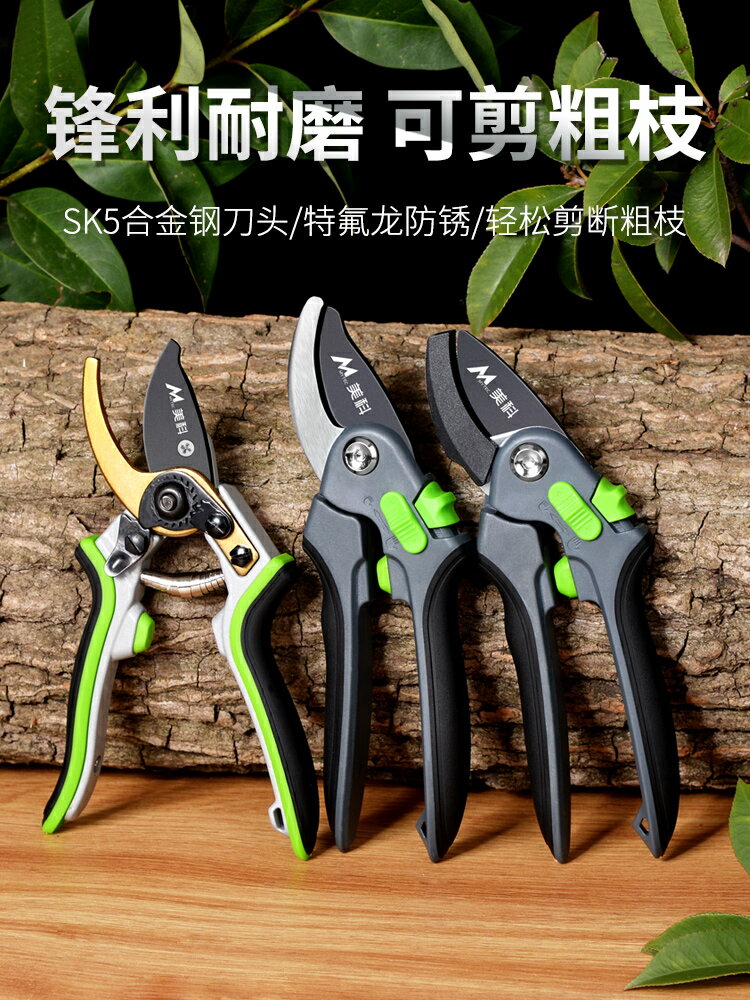 果樹修枝剪園林剪樹枝專用剪刀園藝剪花剪修剪工具德國省力剪子枝