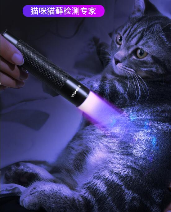 貓蘚燈貓尿逗貓紫光手電筒醫用真菌檢測紫外線專用燈