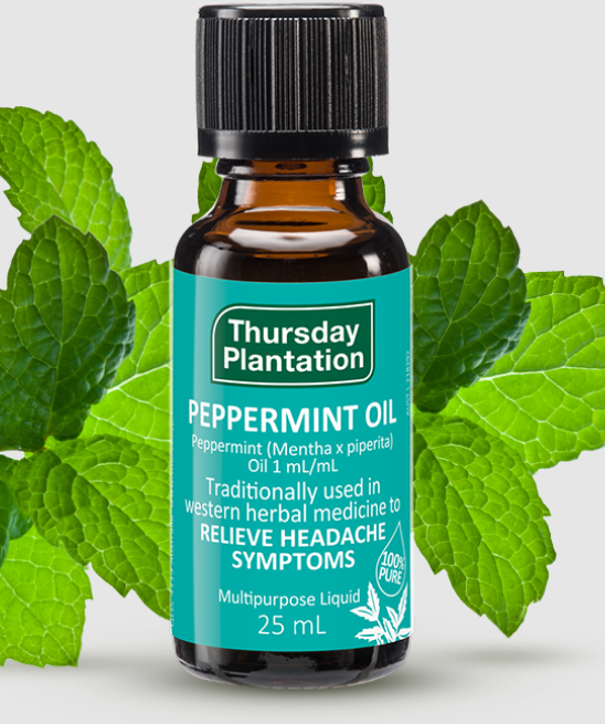 【Thursday Plantation 星期四農莊】澳洲薄荷精油 25ml(100%純精油) 2