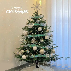 聖誕樹 圣誕樹2022新款家用兒童高級感大型圣誕樹家用ins風網紅裝飾套餐