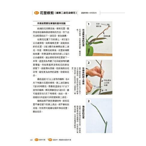 全年度蝴蝶蘭栽培基礎書 3