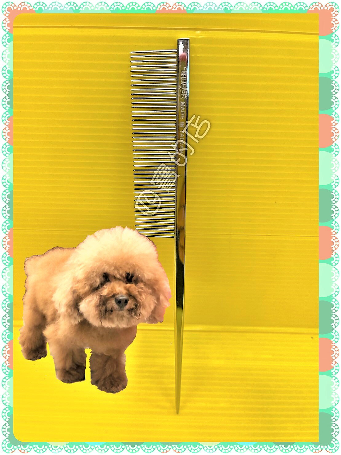 ✪四寶的店n✪Hello Pet 《尖尾梳》美容級好梳好握 犬貓造型梳 ( 寵物美容師國家考試必需品)