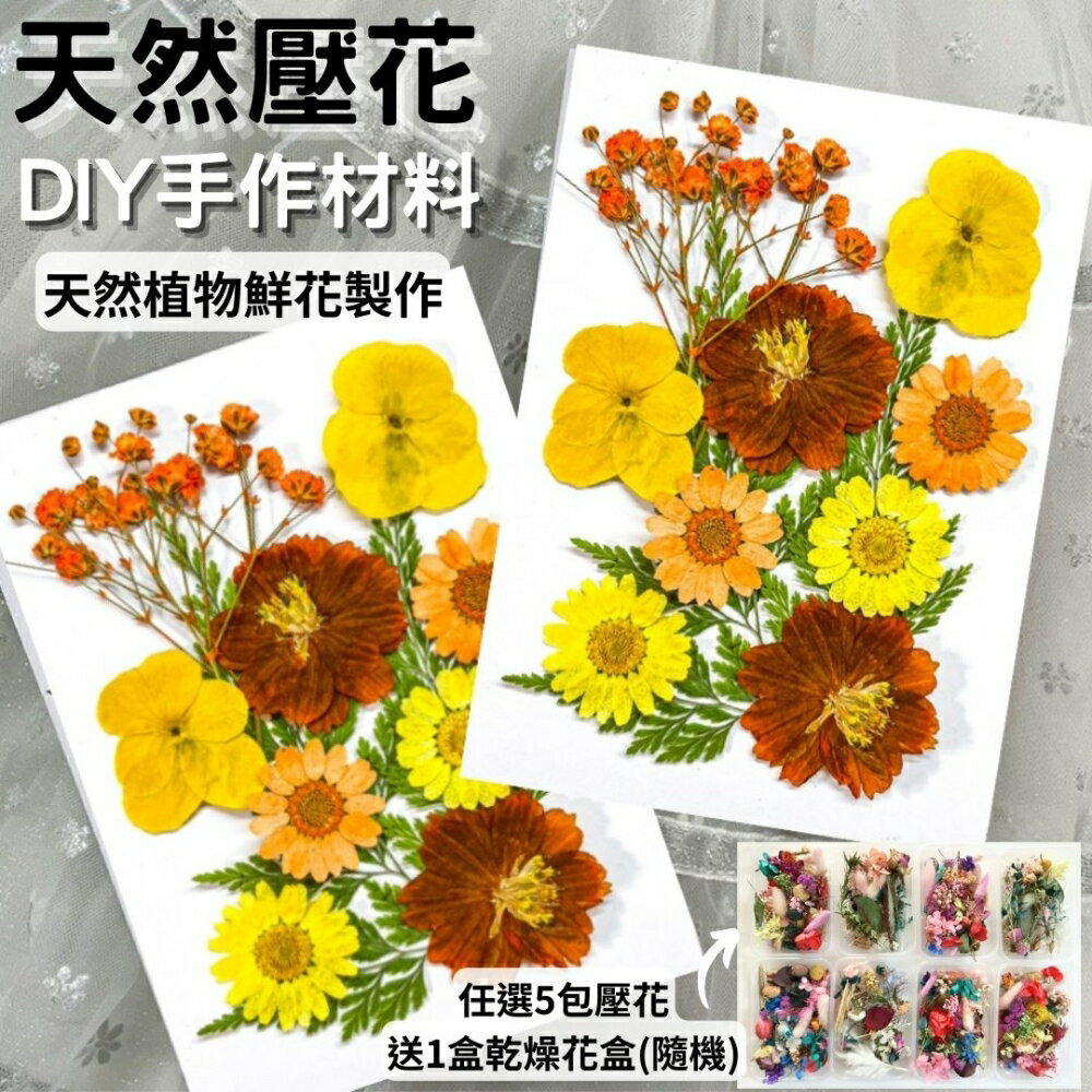 【A-ONE】壓花材料 乾燥花材料 壓花 押花 手工壓花 植物 壓花DIY 乾花 乾燥花DIY 書籤乾燥花