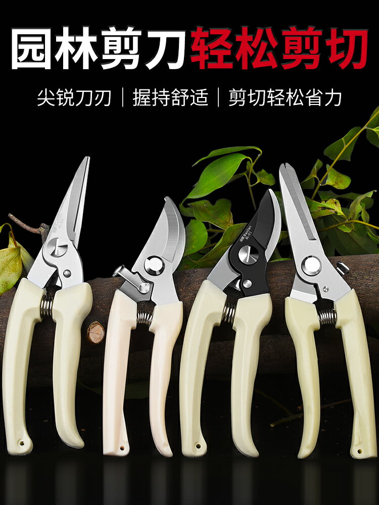 園藝剪修枝剪花剪園林剪花藝剪剪樹枝果樹剪刀枝剪修剪花卉剪子