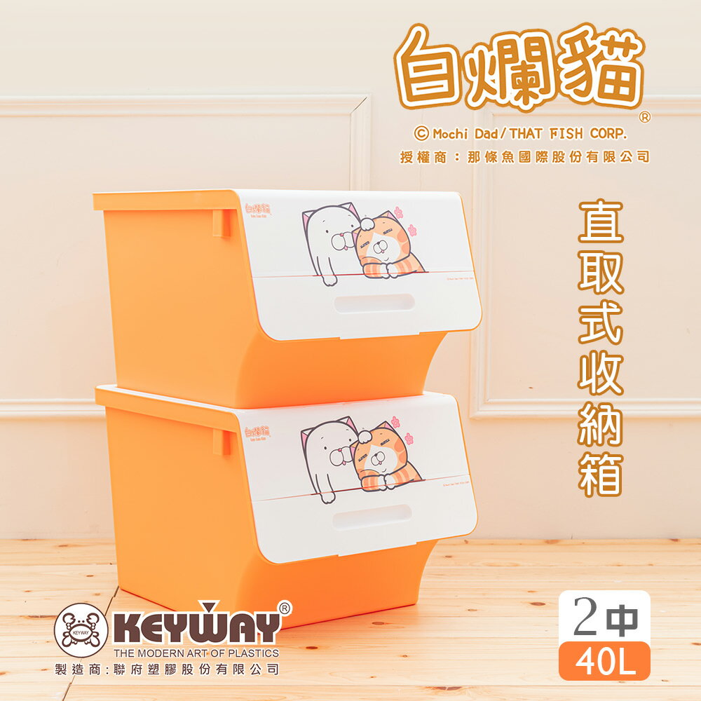 聯府/掀蓋式/收納箱 【40L/兩入】新白爛貓直取式收納箱 正版授權 dayneeds