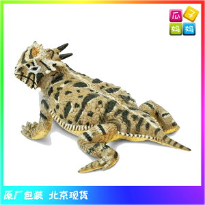 Safari美國 冠狀 角蜥 奇跡系列仿真動物模型玩具156605