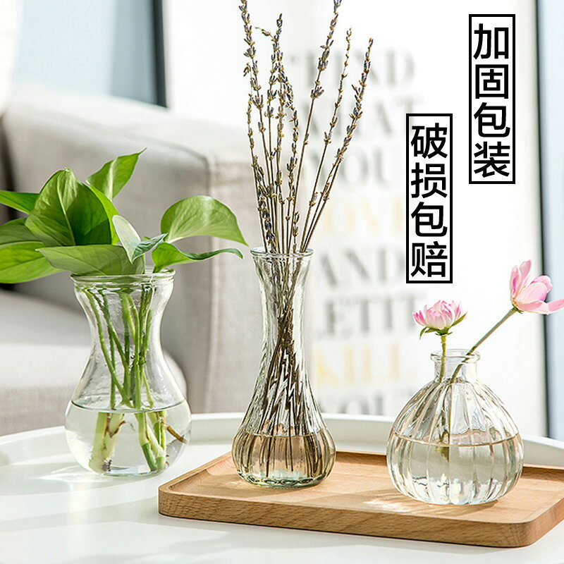 透明玻璃瓶水培植物容器綠蘿養花小花瓶干花插花客廳擺件裝飾花盆