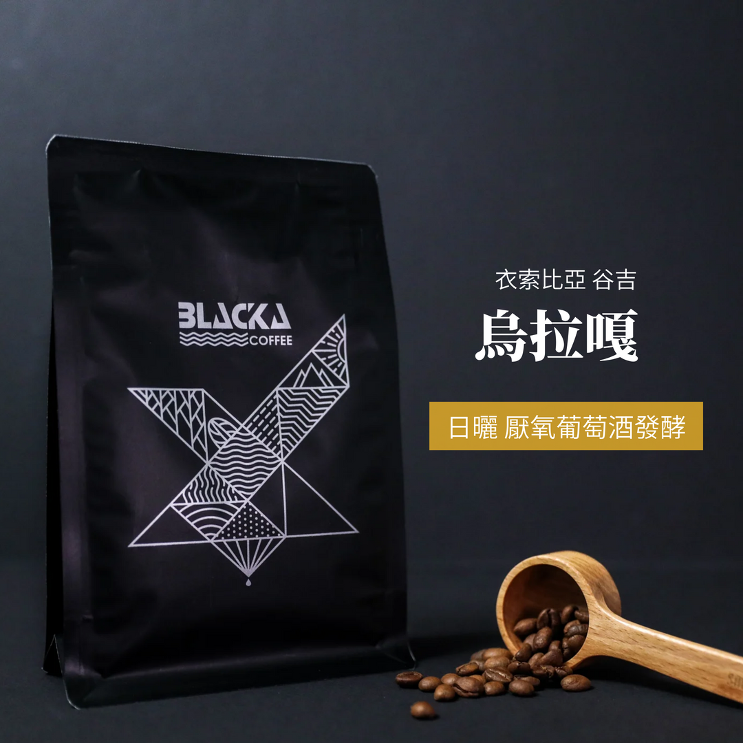 【BLACKA COFFEE】衣索比亞 谷吉 烏拉嘎 日曬 厭氧 葡萄酒發酵 半磅