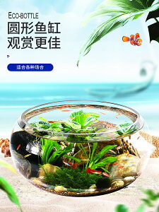 魚缸小型生態瓶魚微景觀免換水桌面創意玻璃懶人迷你斗魚生態魚缸（不送魚）
