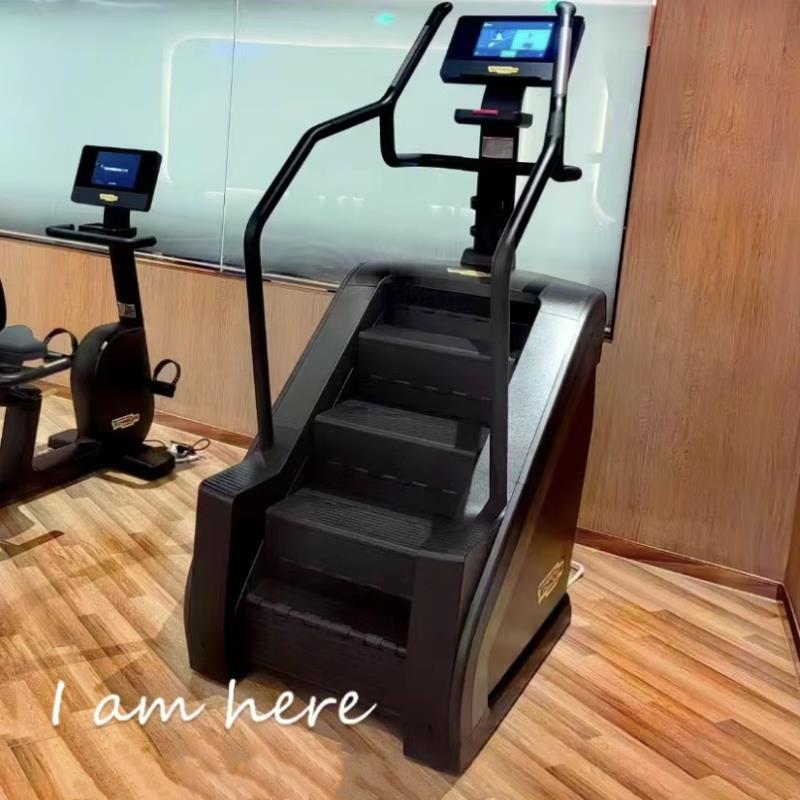 泰諾健登山樓梯機Excite Climb踏步臺階健身器材 進口