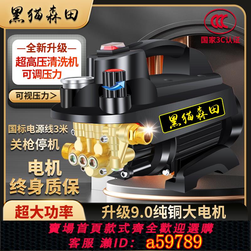 【臺灣公司 可打統編】黑貓洗車神器家用220v大功率強力水槍清洗機便攜手提式高壓洗車機