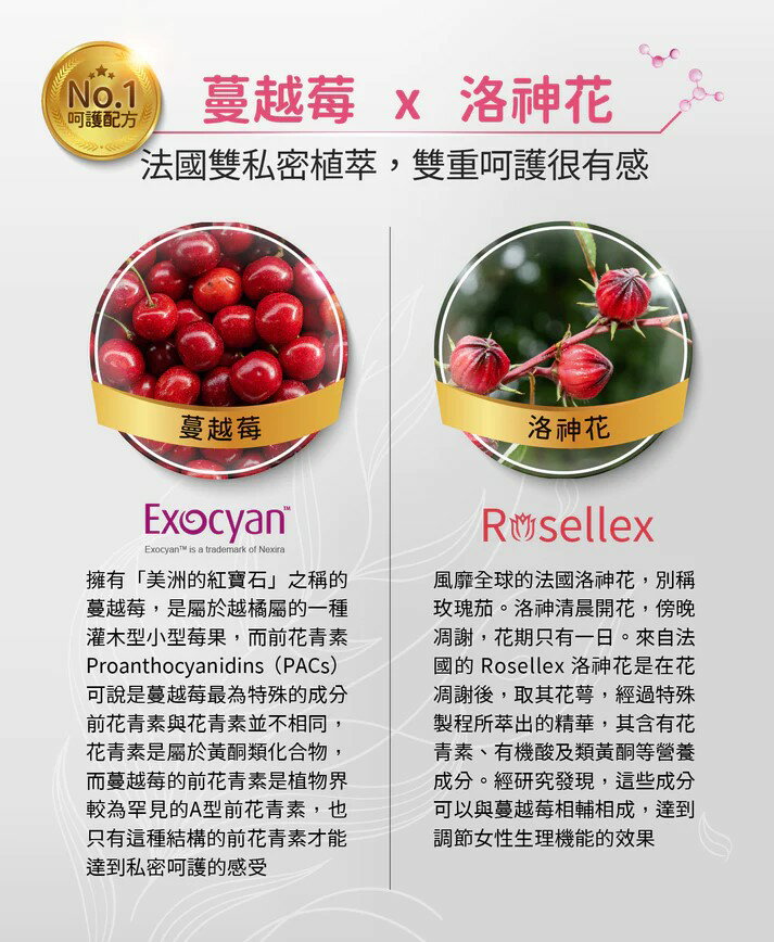 【綠洲藥局】【科立健】 淨好莓(30包/盒) 全素可食 蔓越莓 益生菌 4