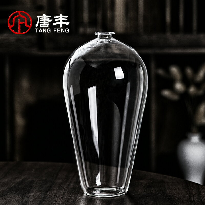 唐豐玻璃花瓶個性創意水培花器透明插花裝飾品北歐輕奢客廳擺件A