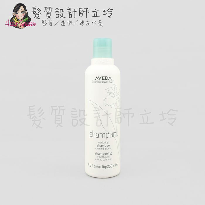 立坽『洗髮精』肯夢公司貨 AVEDA 純香洗髮菁250ml HS01 HH01
