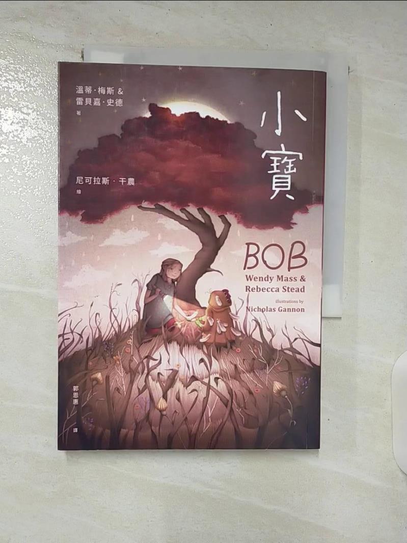 【書寶 書T2／一般小說_BDZ】小寶_溫蒂‧梅斯 雷貝嘉‧史德-作 尼可拉斯‧干農-繪