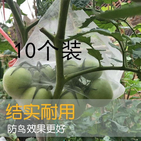 防鳥網 防鳥防蟲專用套袋網育果袋桃子桃葡萄袋上梨果樹器果農袋 限時88折
