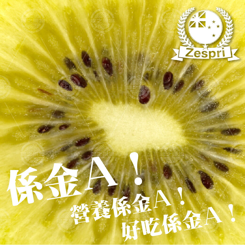 現貨 送原廠提袋 綠之果物 Zespri 紐西蘭黃金奇異果黃金奇異果禮盒巨無霸黃金奇異果居家營養補給 台灣樂天市場