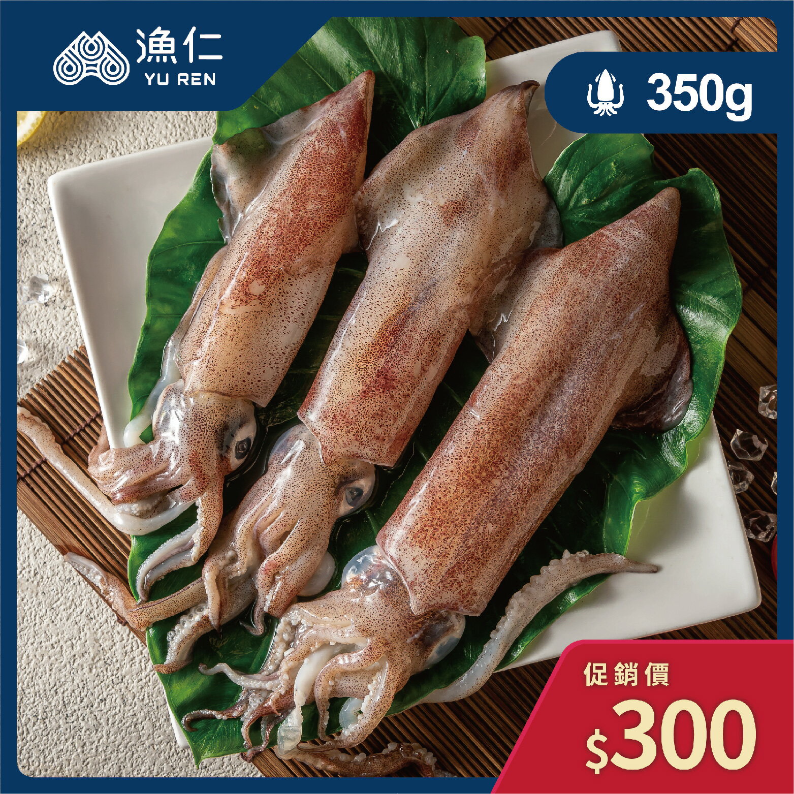 【漁仁鮮物】東北角野生小卷/300g/隻數不定