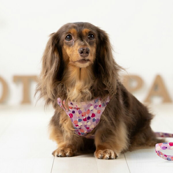 Toto&Pal 草莓系列胸背(預購)