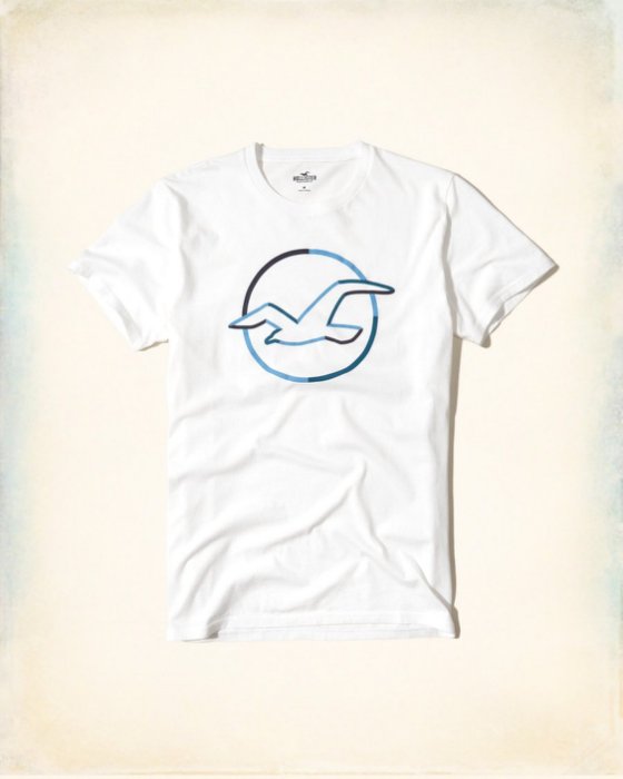 美國百分百【Hollister Co.】T恤 HCO 短袖 T-shirt 海鷗 上衣 logo 白色 S號 I211