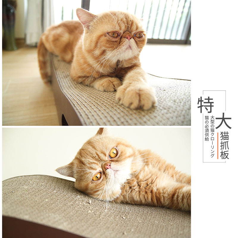 貓抓板磨爪器特大號瓦楞紙貓用品大型貓咪玩具貓窩沙發保護包郵