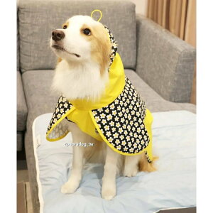 Noradog韓國精品寵物品牌:主人專用散步包&寵物狗狗雨衣 少量現貨