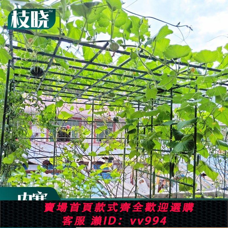 {公司貨 最低價}葡萄花架子室外庭院花架爬藤支架絲瓜材料陽臺家用包塑鋼管清倉