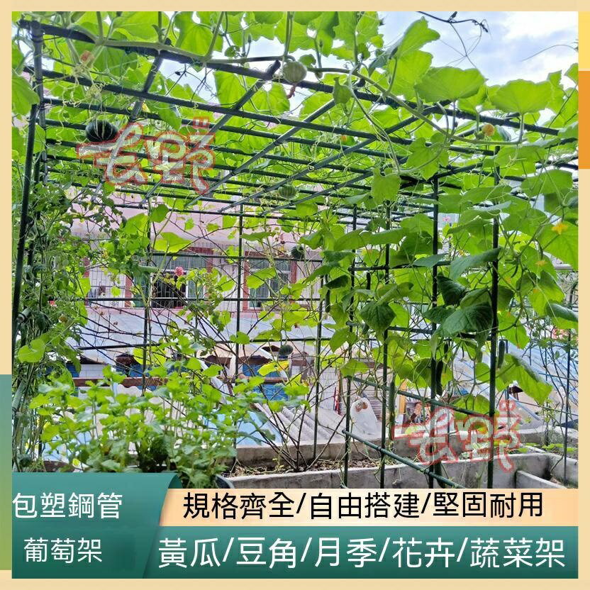 破損補發 戶外庭院園藝爬藤花架支架庭院 葡萄架子 花架 爬藤架 園藝花支架 園藝支架 植物架 豆角黃瓜架