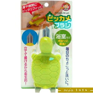 AIWA 小烏龜清潔刷-綠色