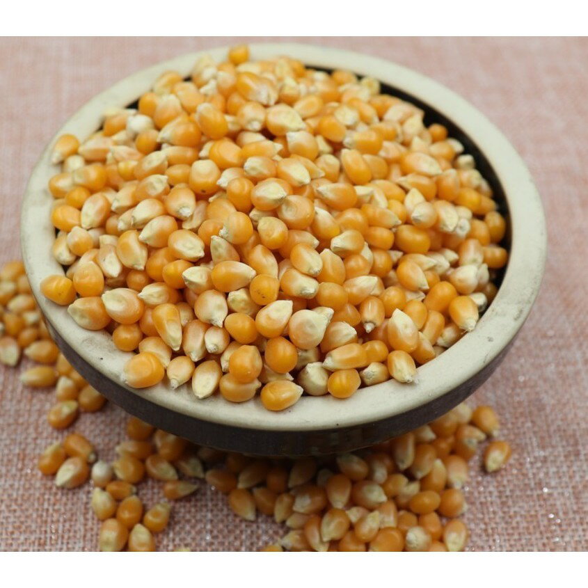 【168all】 600g【嚴選】爆米花專用玉米花 Popcorn Seed
