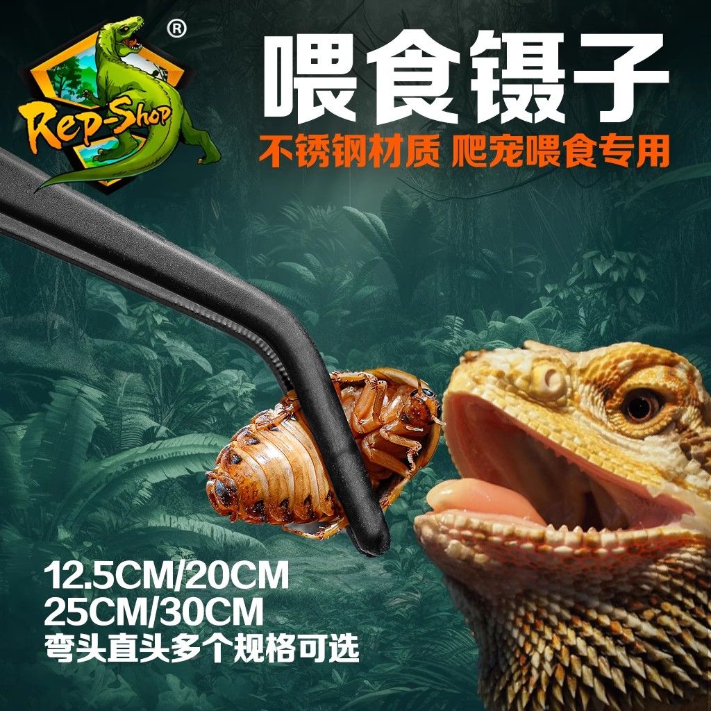 鑷子爬蟲昆蟲蟋蟀烏龜角蛙糞便夾蜥蜴蜘蛛餵食不銹鋼直頭彎頭182YJ 公司貨