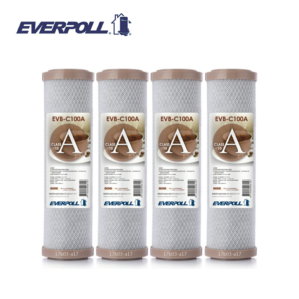 (4支入)EVERPOLL EVB-C100A標準型10英吋網狀壓縮活性碳棒濾芯 CTO濾芯 大大淨水