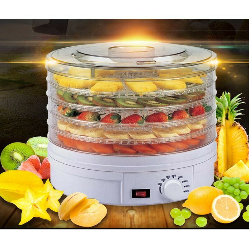 DIY肉類水果蔬菜中乾燥機 乾果機 風乾機 烘乾機 寵物食品飼料風乾 自製芒果乾 肉乾