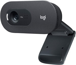 【日本代購】Logitech 羅技 攝像頭 攝影機 C505