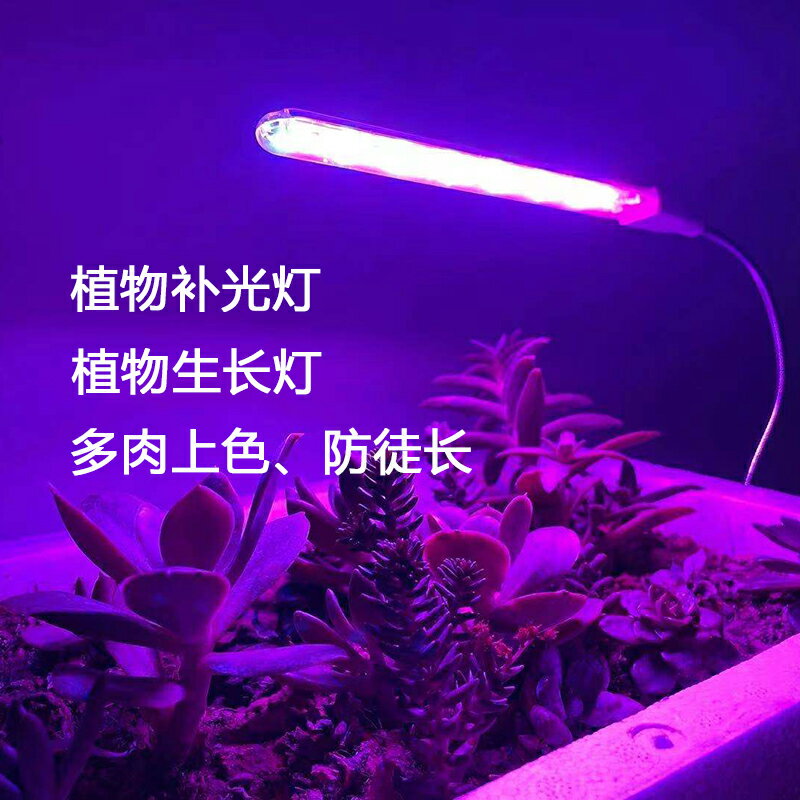 植物燈 植物生長燈 補光燈 植物補光燈生長燈多肉上色助長全光譜led燈USB長條燈管家用植物燈耶誕節