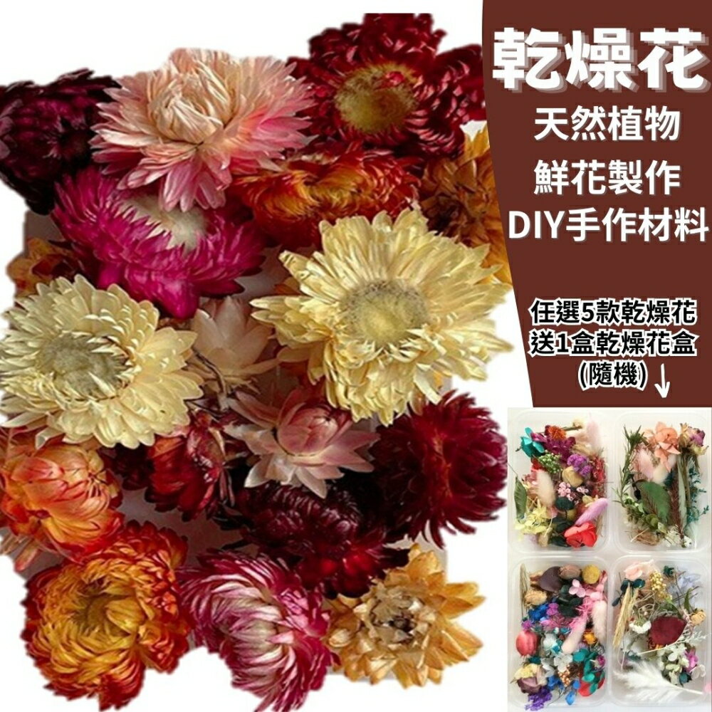 幫家裡聖誕佈置裝飾推薦聖誕樹及聖誕花圈到【A-ONE】麥桿菊花 乾燥花材 DIY材料包 乾燥花盒 花藝材料包 永生花工具 不凋花 乾花 拍照 A15【領券滿額再折千12/31止】就在ALL SPLENDID推薦幫家裡聖誕佈置裝飾