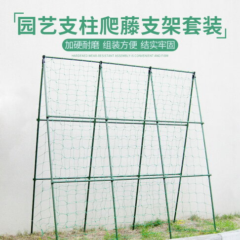 園藝支柱支架套裝豆角架黃瓜架子花支柱配爬藤網菜園蔬菜支架種植 協貿國際日用品生活6館 樂天市場rakuten 園藝支柱支架套裝豆角架黃瓜架子花支柱配爬藤網菜園蔬菜支架種植 協貿國際日用品生活6館 樂天市場rakuten