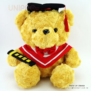 【UNIPRO】畢業小熊 紅色學士熊 畢業熊 30公分 坐姿 軟毛 磨花絨 絨毛娃娃 玩偶 畢業禮物 裝飾