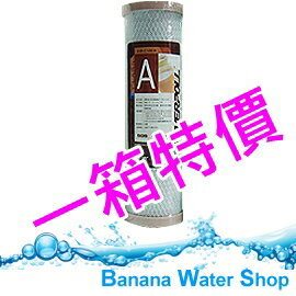 【Banana Water Shop】EVERPOLL CTO 活性碳濾心 EVB-C100A 公司貨【一箱25支】