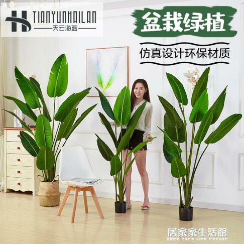 樂天精選 大型北歐仿真植物落地旅人蕉簡約裝飾假花盆栽室內散尾葵綠植擺件 名創家居館 名創家居館直營店 樂天精選 大型北歐仿真植物落地旅人蕉簡約裝飾假花盆栽室內散尾葵綠植擺件 名創家居館 名創家居館直營店
