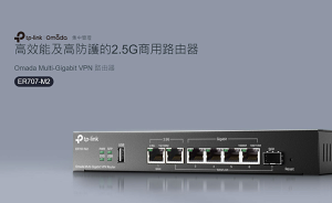 TP-LINK Omada Multi-Gigabit VPN 路由器 ER707-M2 2.5G連接埠